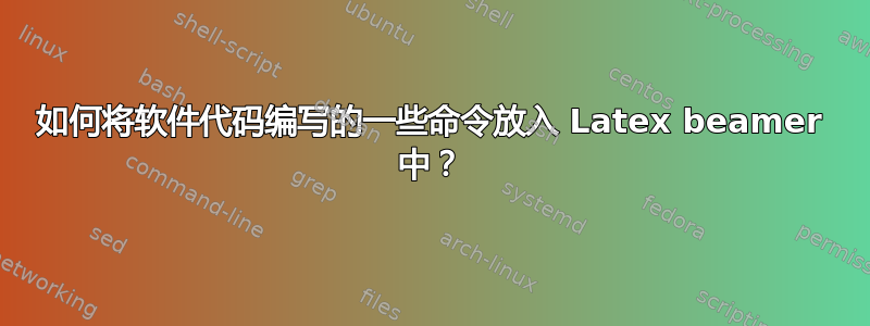 如何将软件代码编写的一些命令放入 Latex beamer 中？