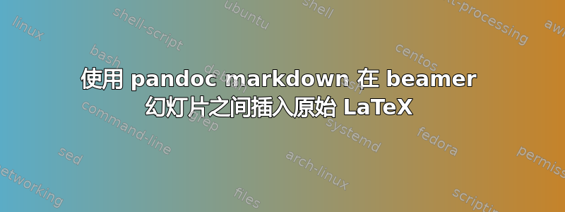 使用 pandoc markdown 在 beamer 幻灯片之间插入原始 LaTeX