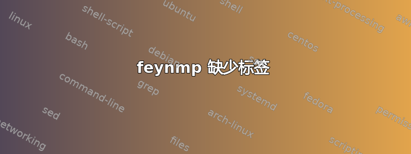 feynmp 缺少标签