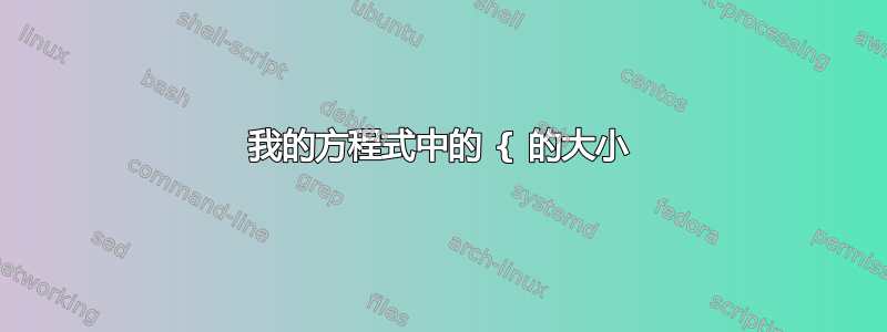 我的方程式中的 { 的大小