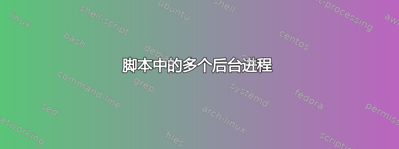 脚本中的多个后台进程