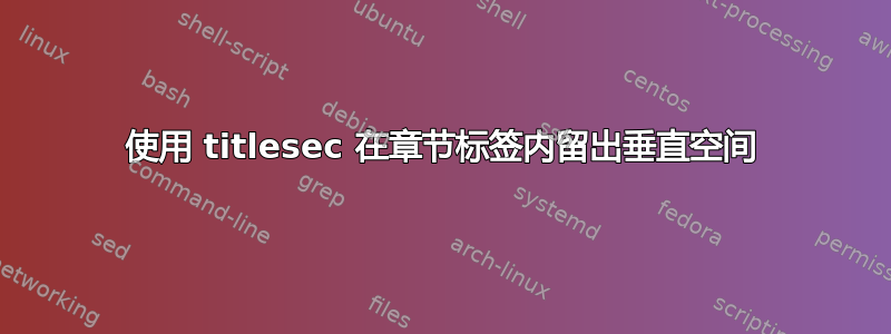 使用 titlesec 在章节标签内留出垂直空间