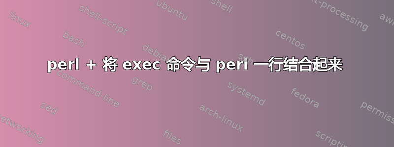 perl + 将 exec 命令与 perl 一行结合起来