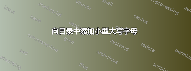 向目录中添加小型大写字母