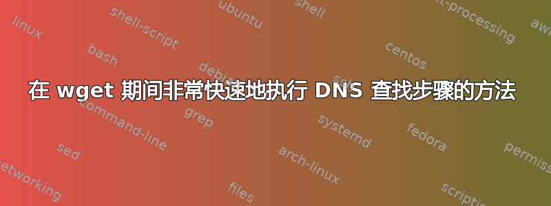 在 wget 期间非常快速地执行 DNS 查找步骤的方法