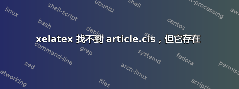 xelatex 找不到 article.cls，但它存在