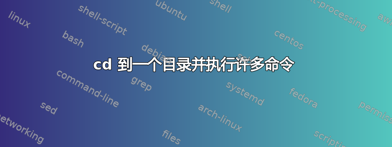 cd 到一个目录并执行许多命令