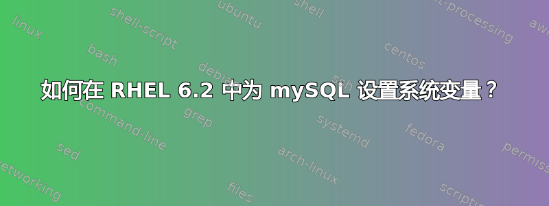 如何在 RHEL 6.2 中为 mySQL 设置系统变量？