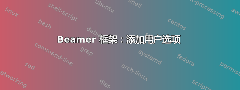 Beamer 框架：添加用户选项