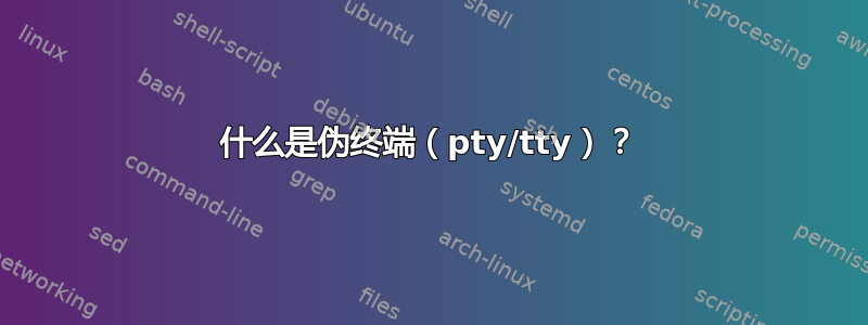 什么是伪终端（pty/tty）？