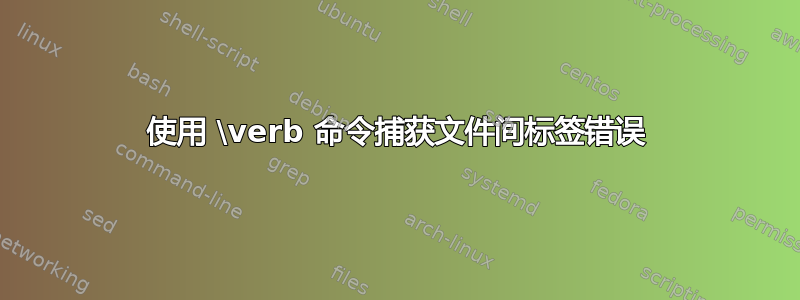 使用 \verb 命令捕获文件间标签错误