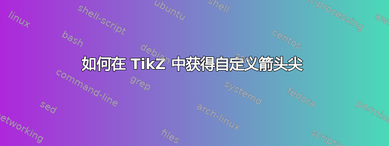 如何在 TikZ 中获得自定义箭头尖