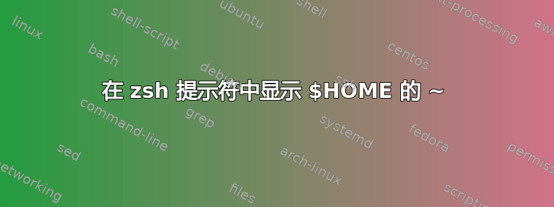 在 zsh 提示符中显示 $HOME 的 ~