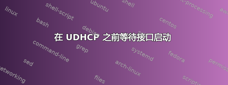 在 UDHCP 之前等待接口启动