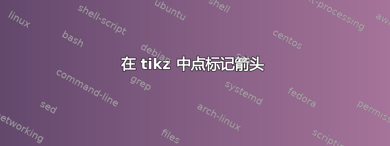 在 tikz 中点标记箭头