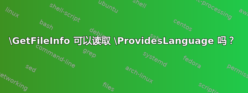 \GetFileInfo 可以读取 \ProvidesLanguage 吗？