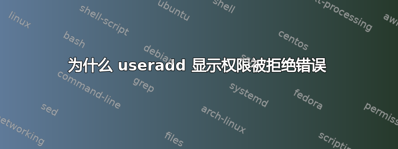 为什么 useradd 显示权限被拒绝错误