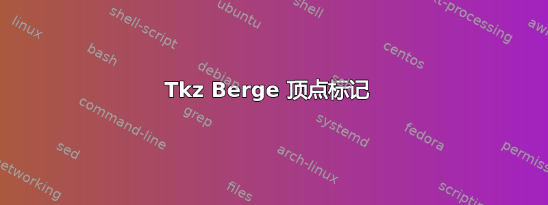 Tkz Berge 顶点标记 