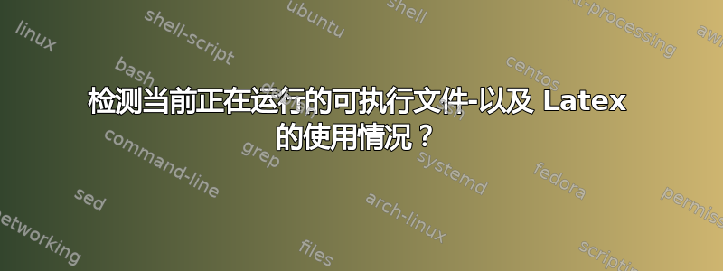 检测当前正在运行的可执行文件-以及 Latex 的使用情况？