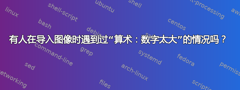 有人在导入图像时遇到过“算术：数字太大”的情况吗？