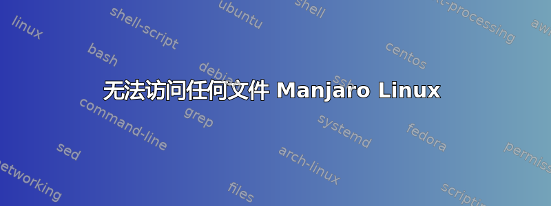 无法访问任何文件 Manjaro Linux