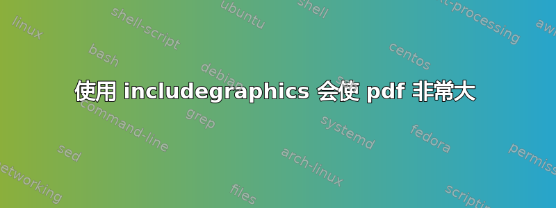 使用 includegraphics 会使 pdf 非常大