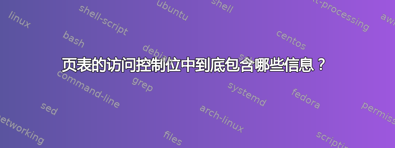 页表的访问控制位中到底包含哪些信息？