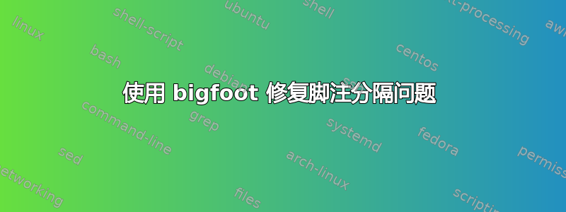 使用 bigfoot 修复脚注分隔问题