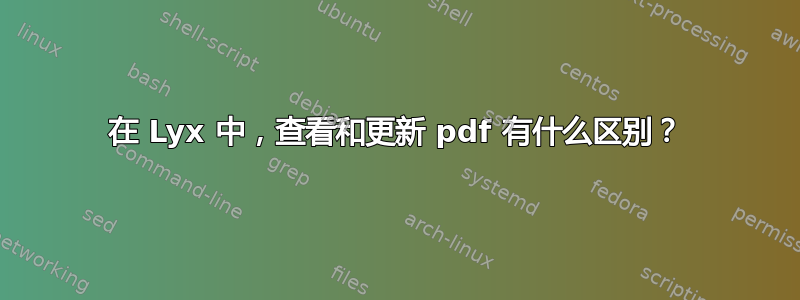 在 Lyx 中，查看和更新​​ pdf 有什么区别？