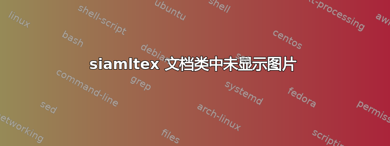 siamltex 文档类中未显示图片