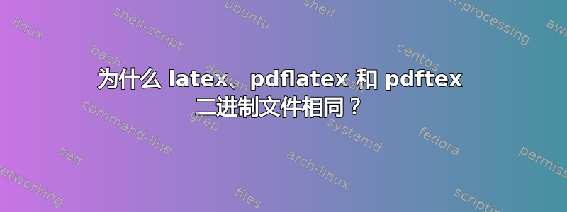 为什么 latex、pdflatex 和 pdftex 二进制文件相同？