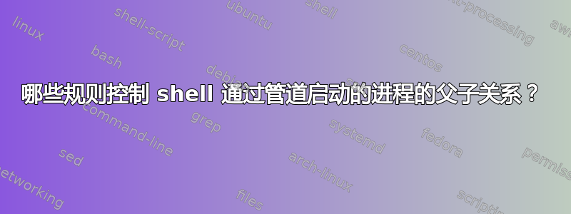 哪些规则控制 shell 通过管道启动的进程的父子关系？