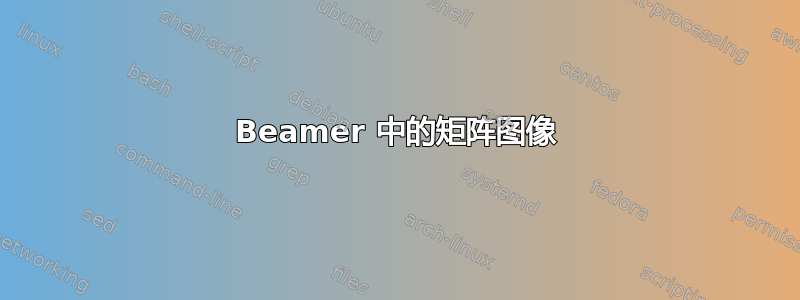 Beamer 中的矩阵图像