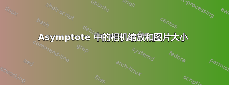 Asymptote 中的相机缩放和图片大小