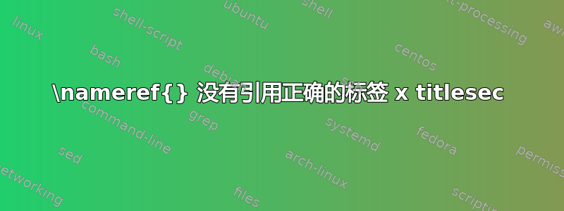 \nameref{} 没有引用正确的标签 x titlesec