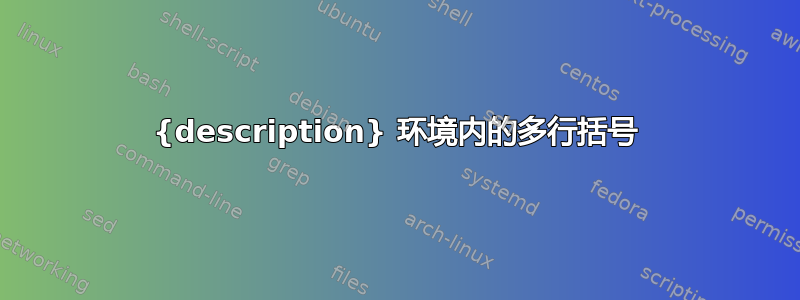 {description} 环境内的多行括号