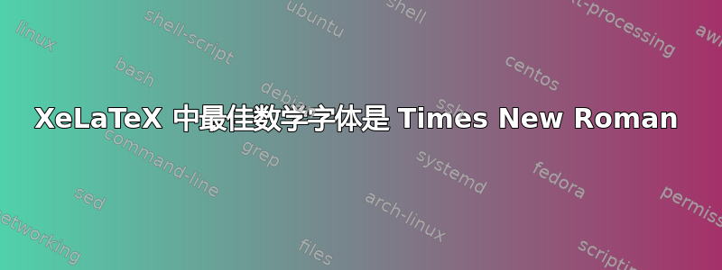 XeLaTeX 中最佳数学字体是 Times New Roman