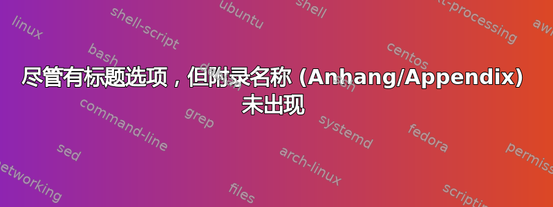 尽管有标题选项，但附录名称 (Anhang/Appendix) 未出现