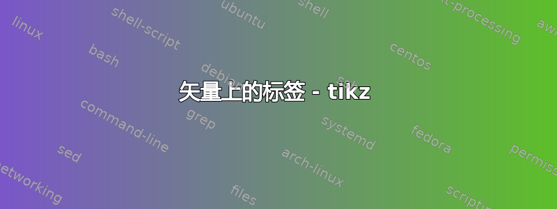 矢量上的标签 - tikz