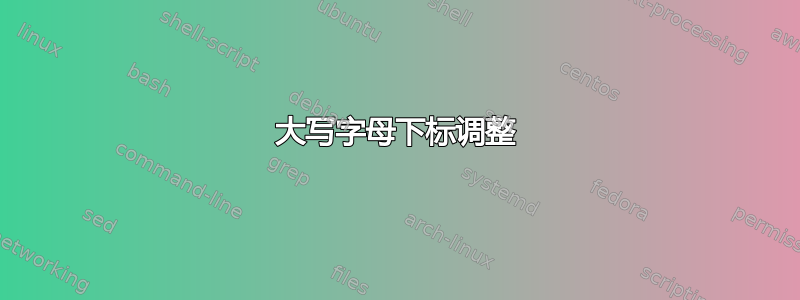 大写字母下标调整