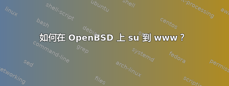 如何在 OpenBSD 上 su 到 www？