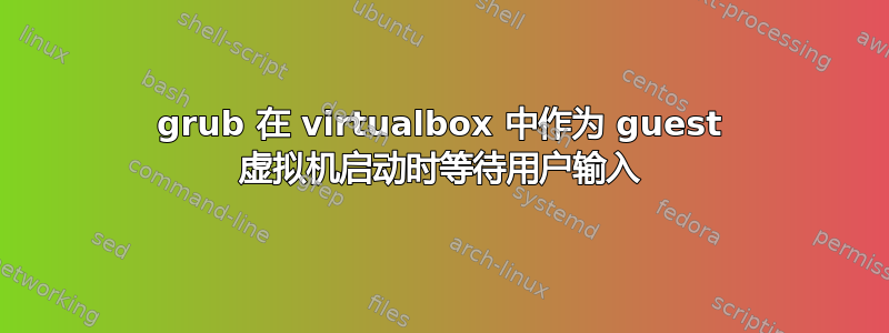 grub 在 vi​​rtualbox 中作为 guest 虚拟机启动时等待用户输入