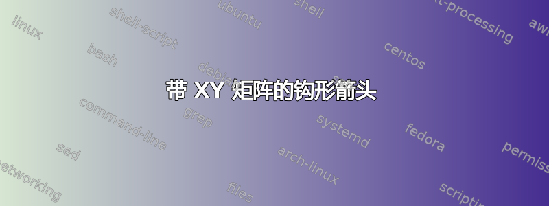 带 XY 矩阵的钩形箭头