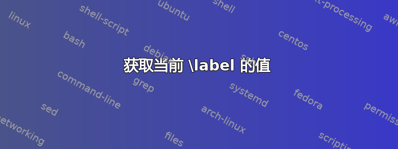 获取当前 \label 的值