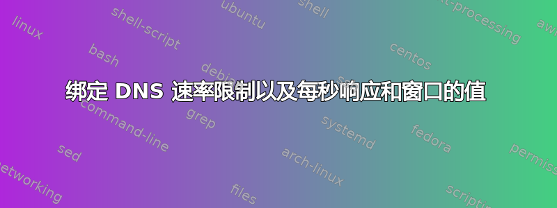 绑定 DNS 速率限制以及每秒响应和窗口的值