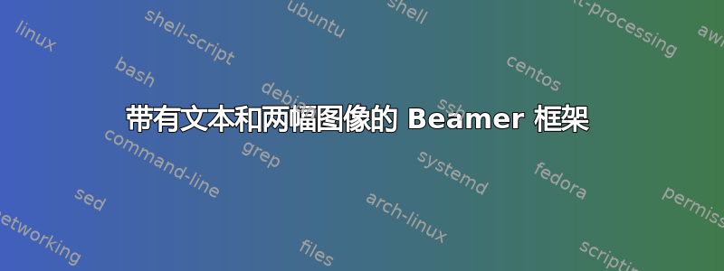 带有文本和两幅图像的 Beamer 框架