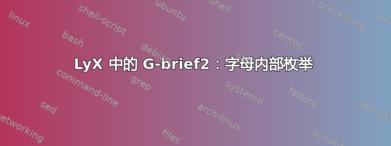 LyX 中的 G-brief2：字母内部枚举