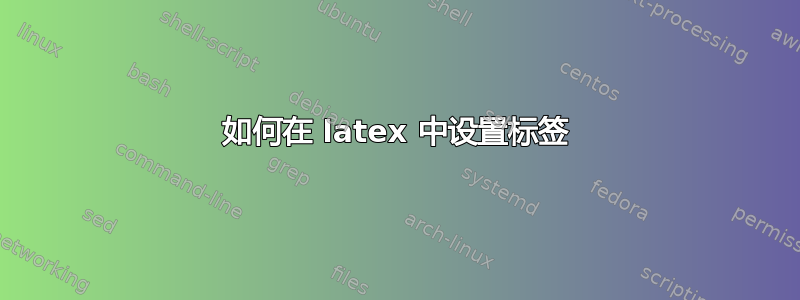 如何在 latex 中设置标签