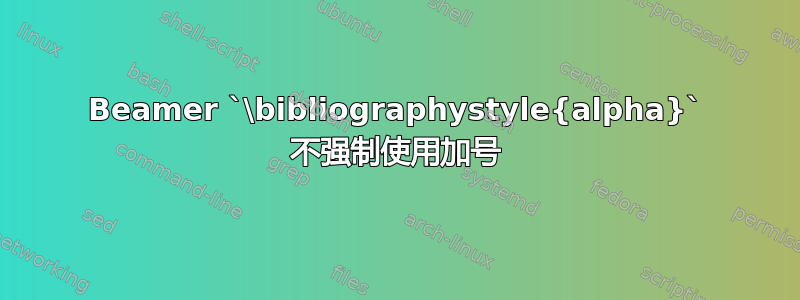 Beamer `\bibliographystyle{alpha}` 不强制使用加号