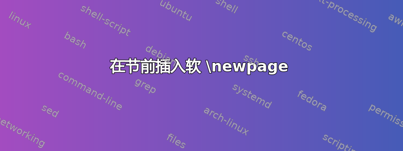 在节前插入软 \newpage